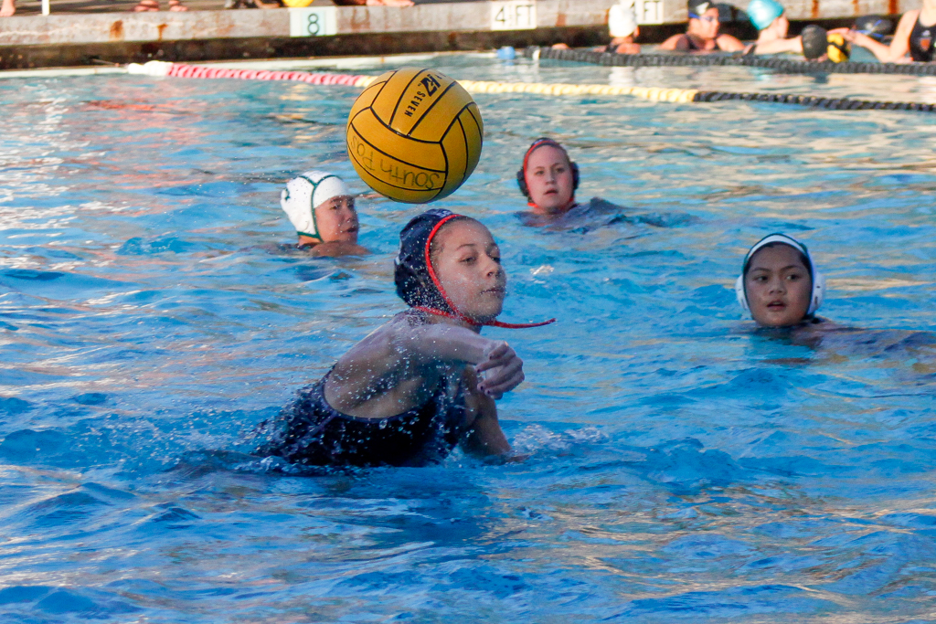Thumbnail for Girls’ waterpolo falls to Temple City in league opener