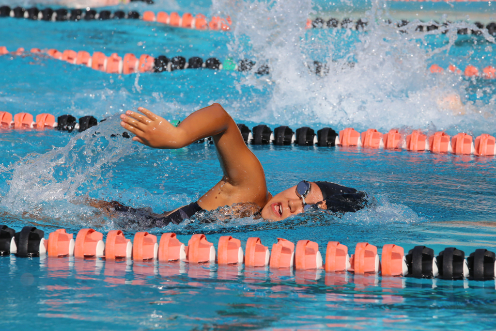 Thumbnail for Swimming competes in RHL prelims
