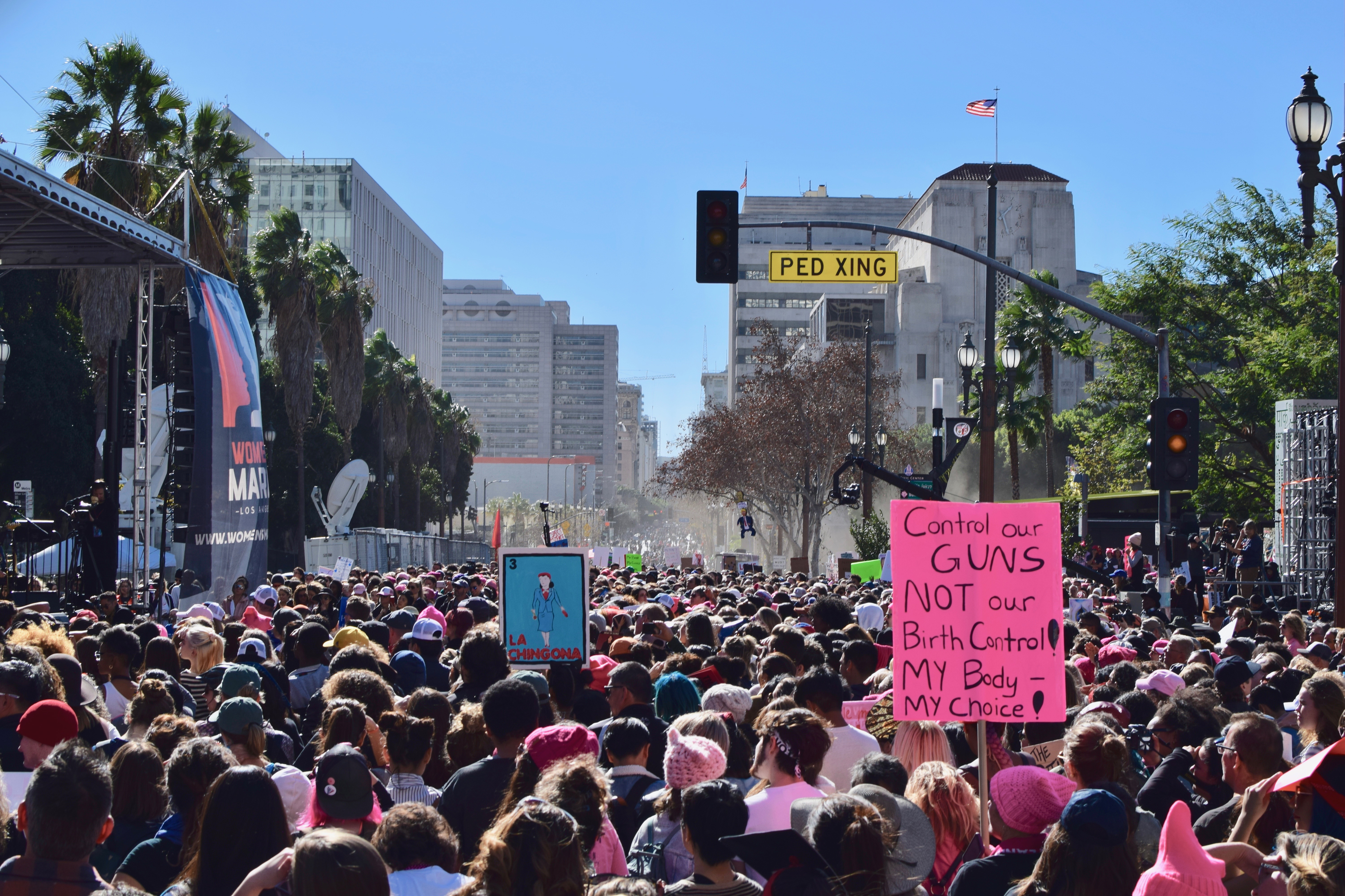 Thumbnail for Los Angeles Women’s March stokes the fire before 2018 midterm elections