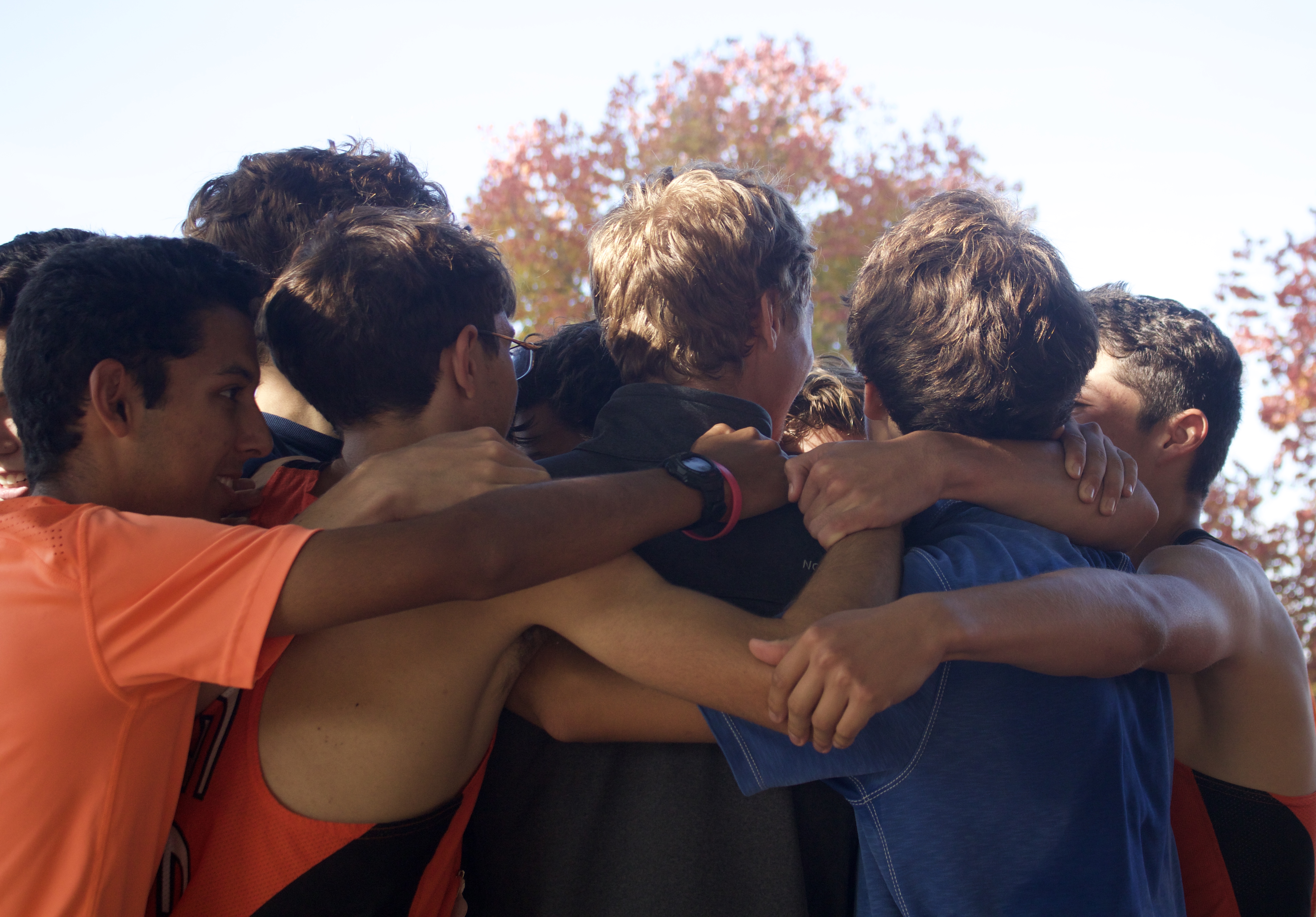 Thumbnail for Boys’ cross country places tenth in state competition