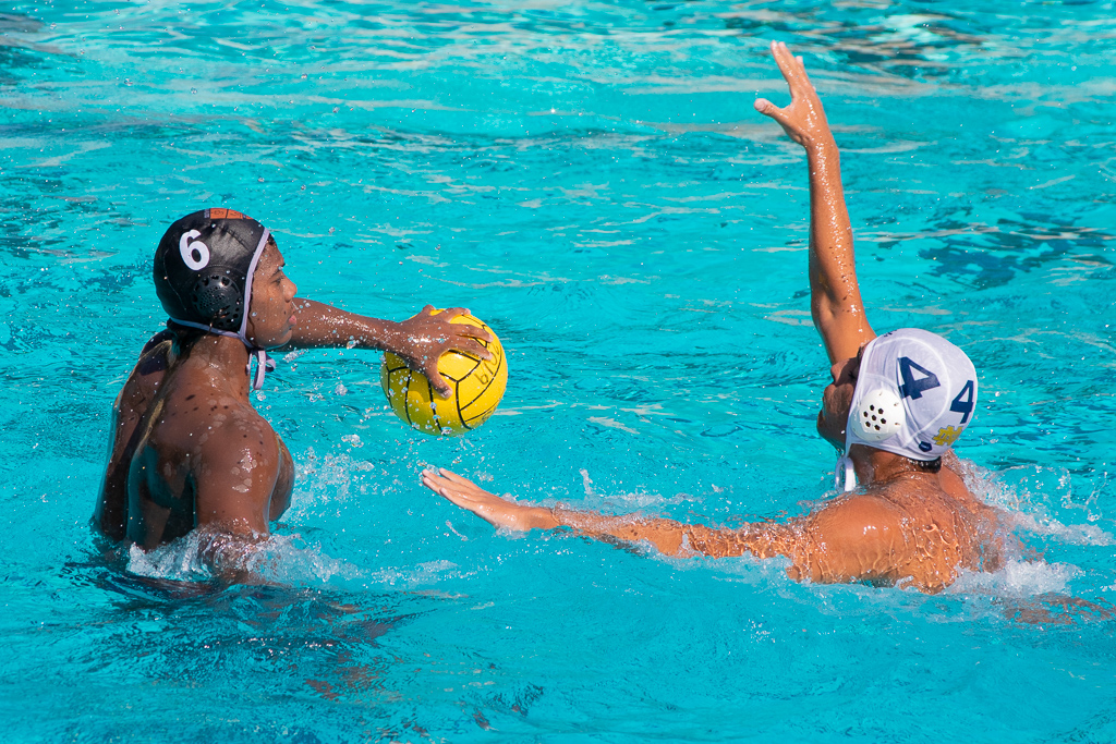 Thumbnail for Boys water polo falls to Notre Dame