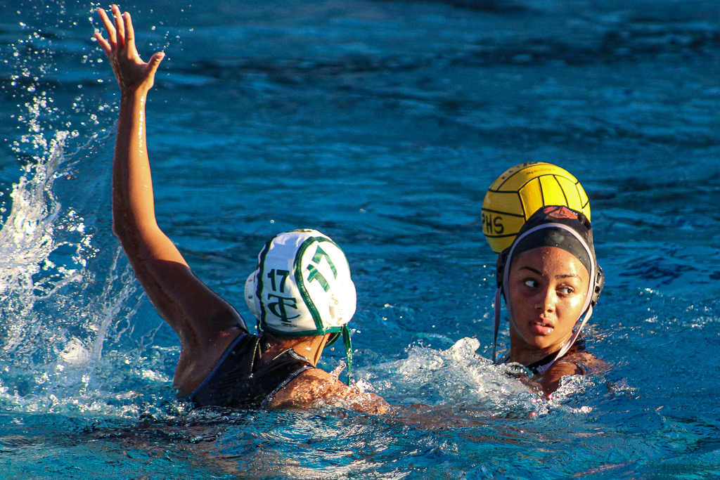 Thumbnail for Girls water polo stumbles against Temple City