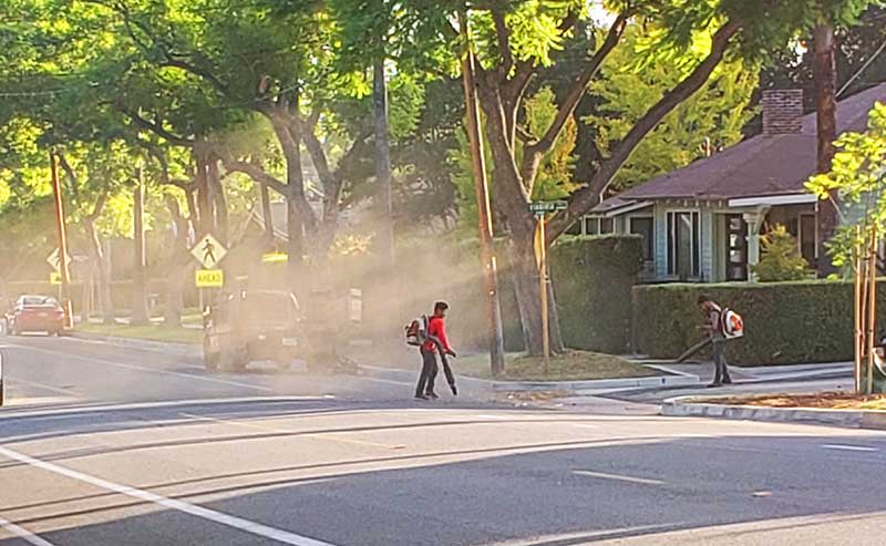 Thumbnail for City Council denies approval of ordinance banning gas-powered leaf blowers