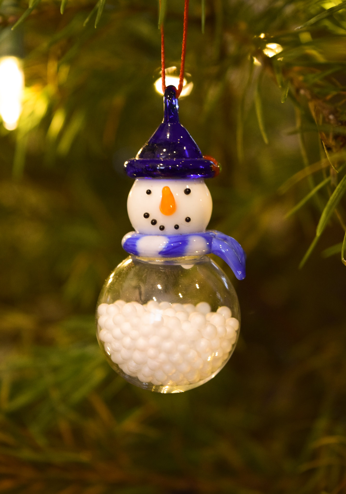 Photo of the Month: December