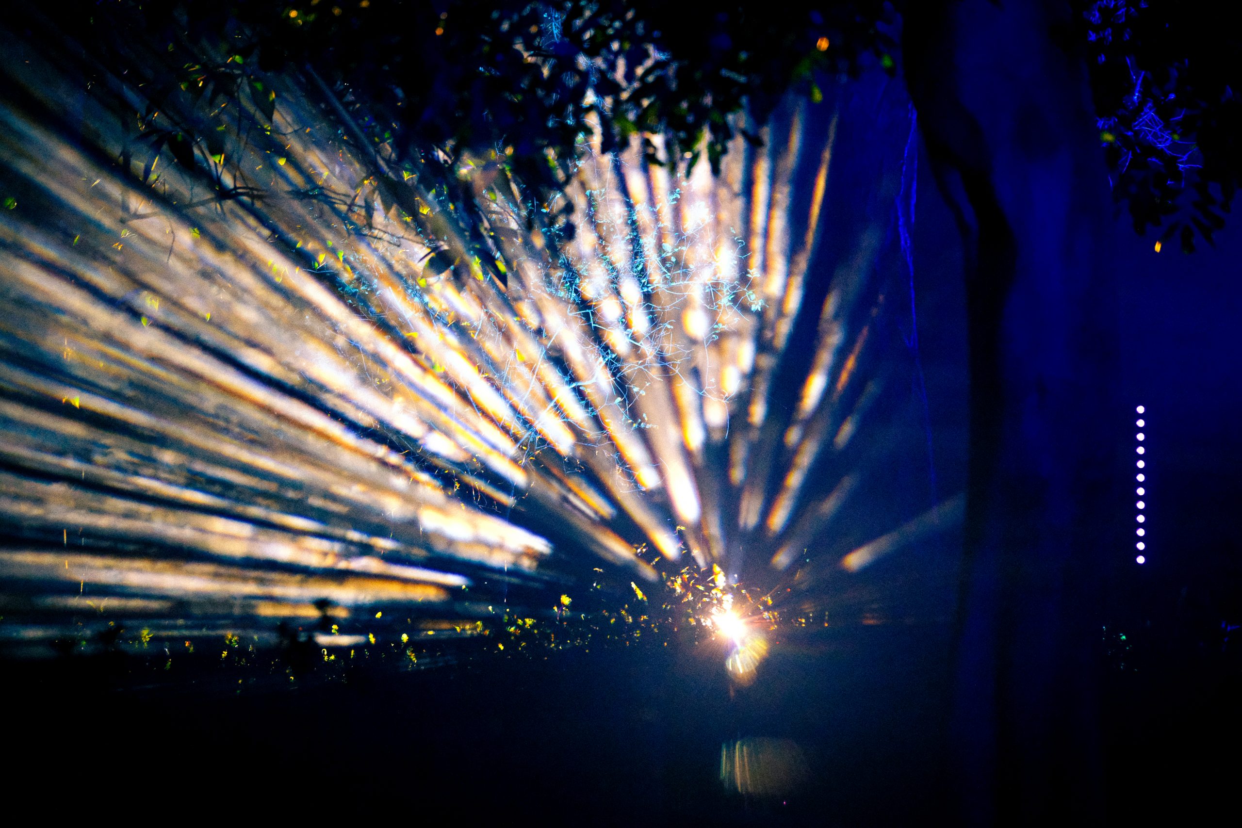Photo of the Month: January