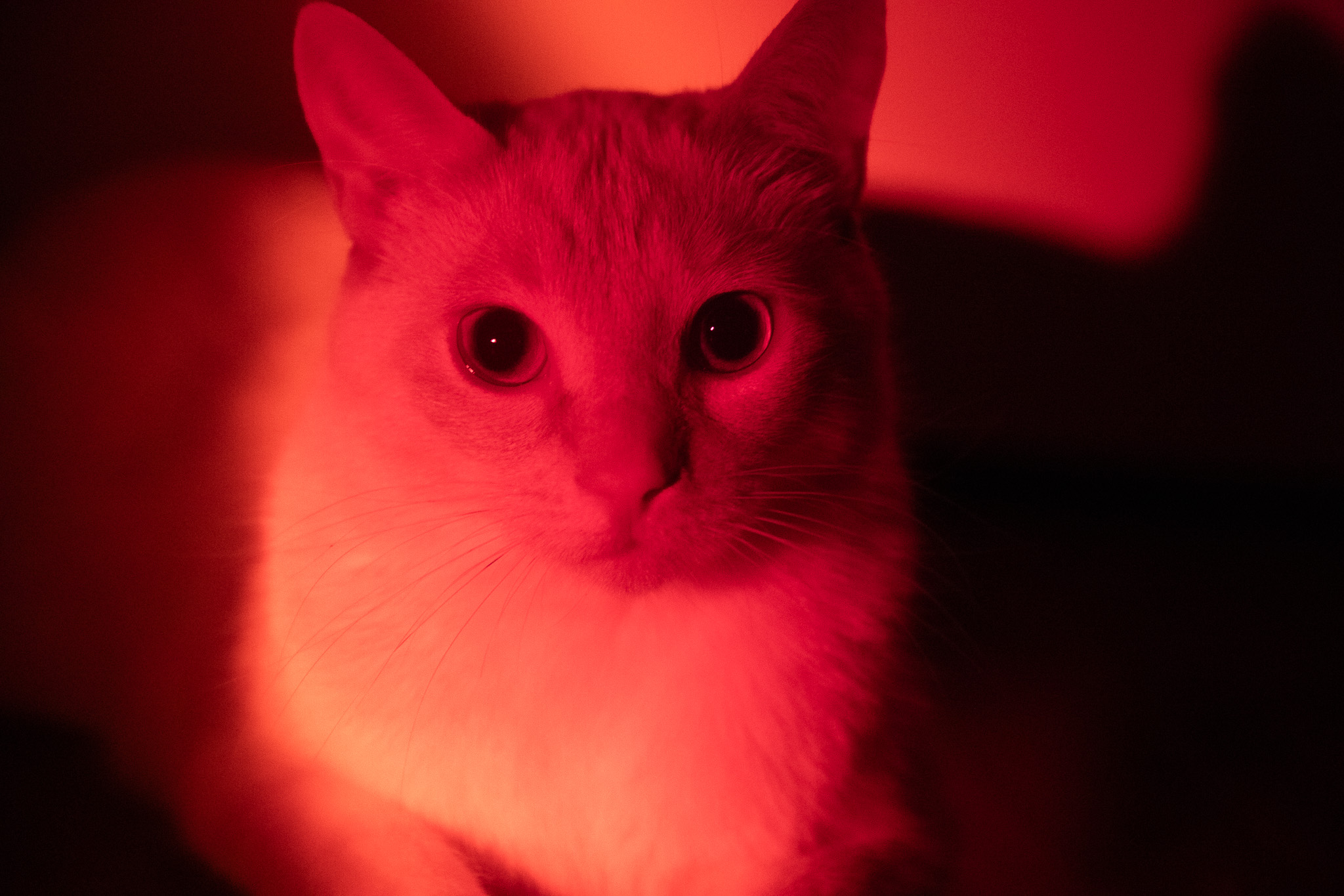 Photo of the Month: March