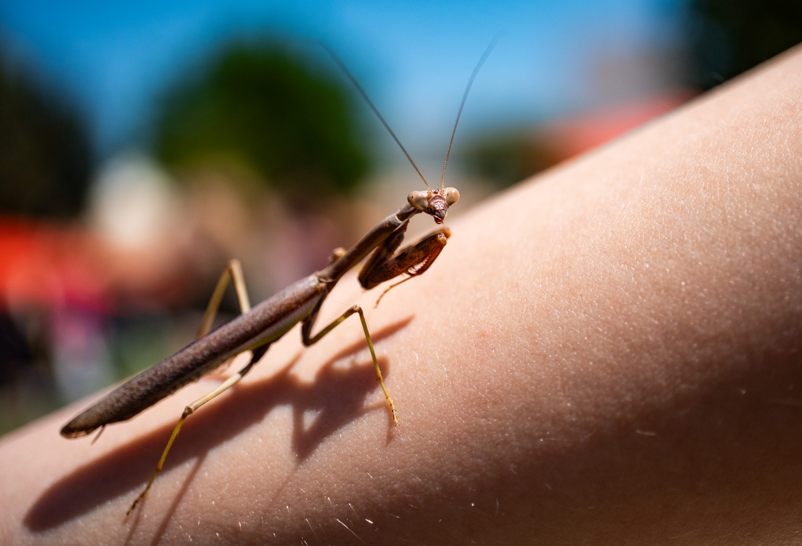 Photo of the month: September
