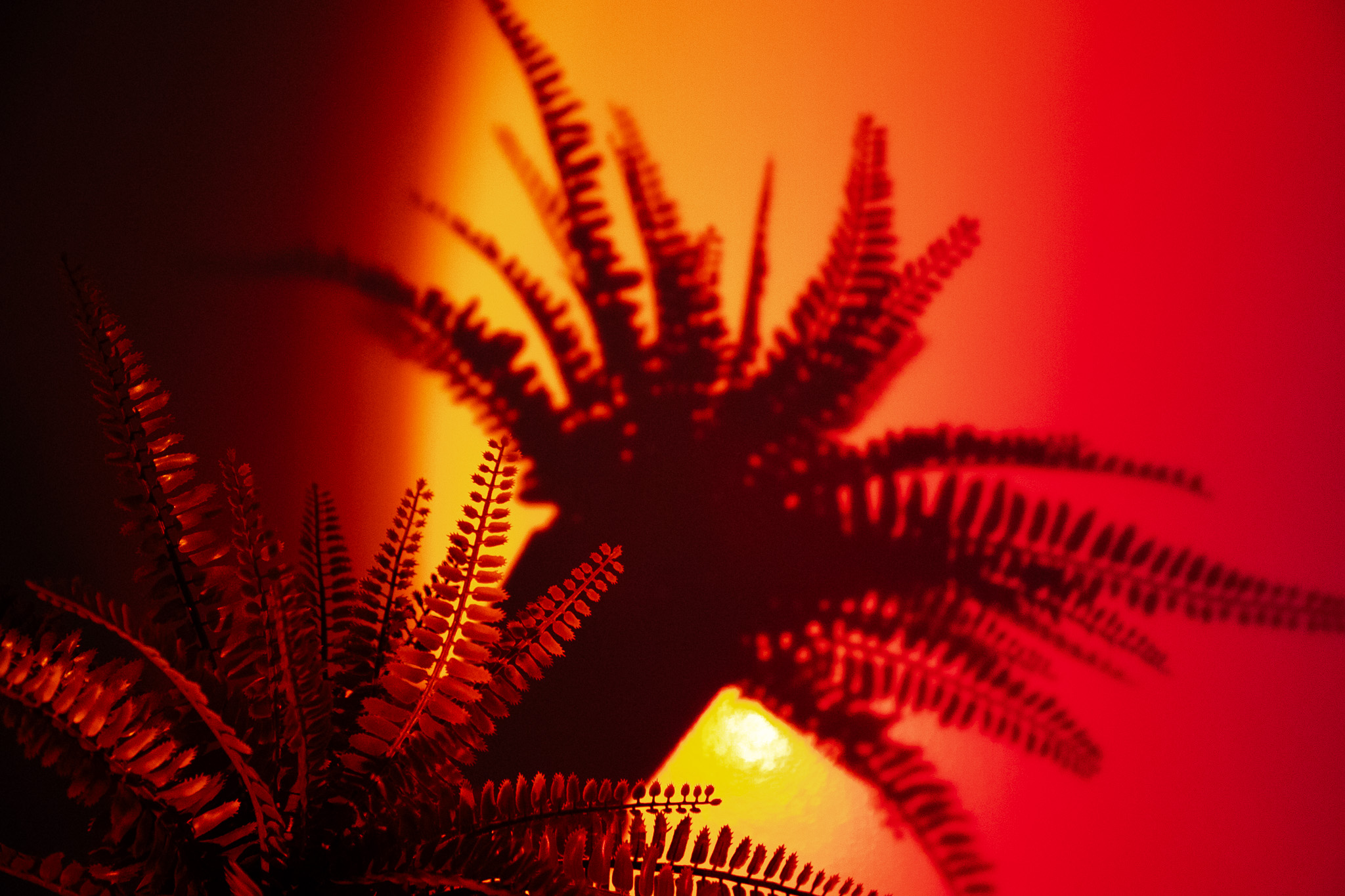 Photo of the month: October