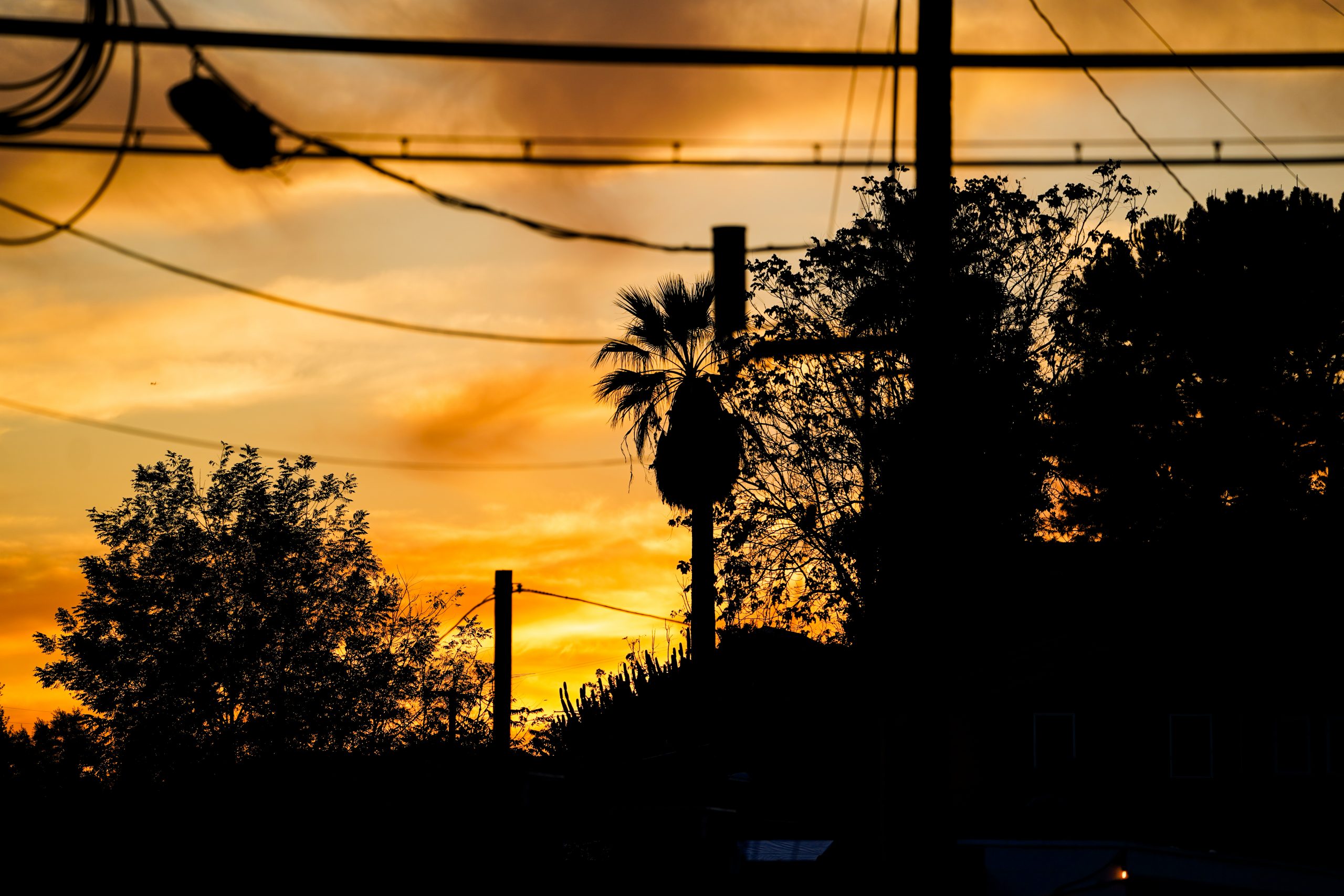Photo of the month: November