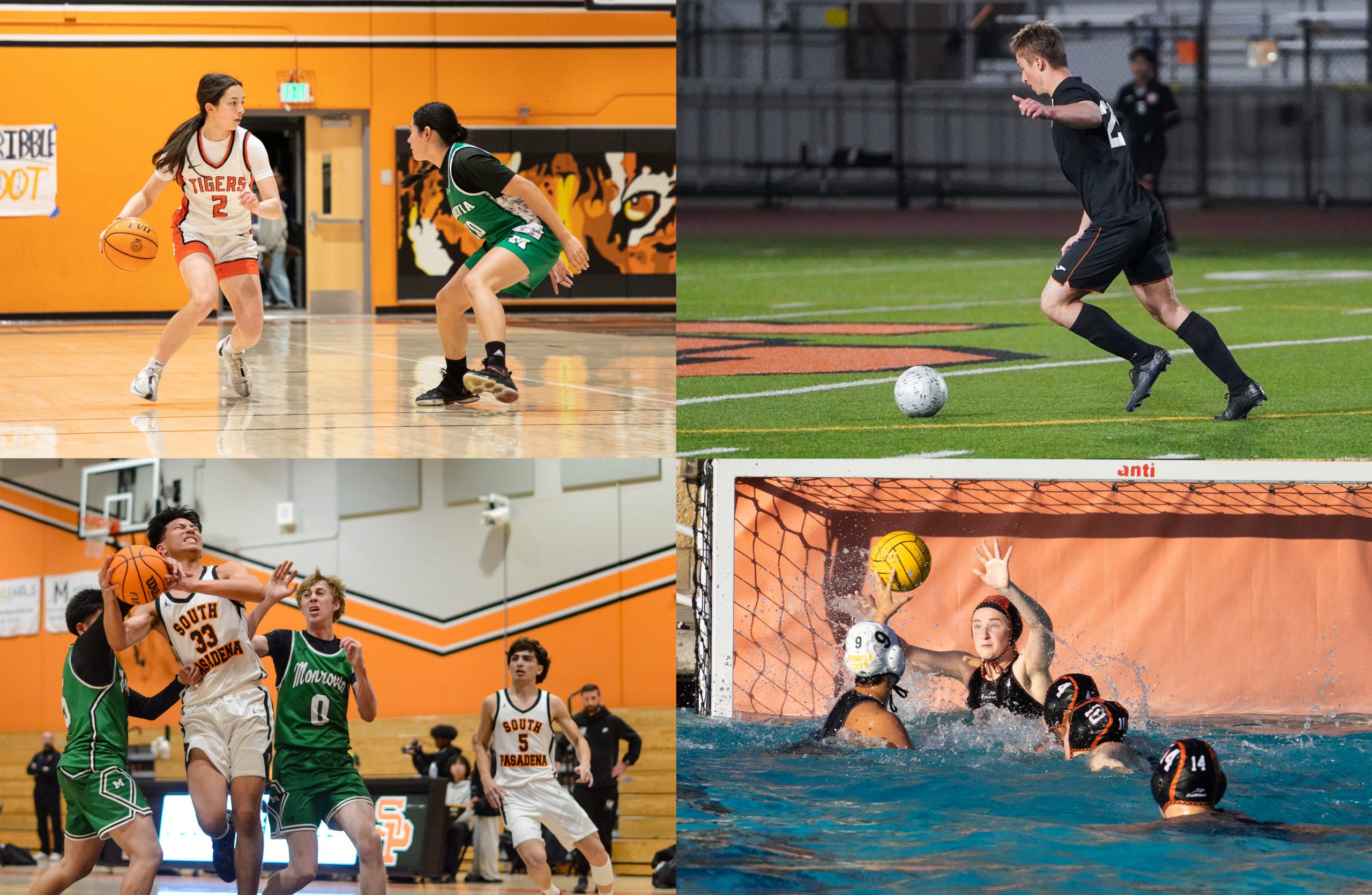 Sports summary: January 11–17