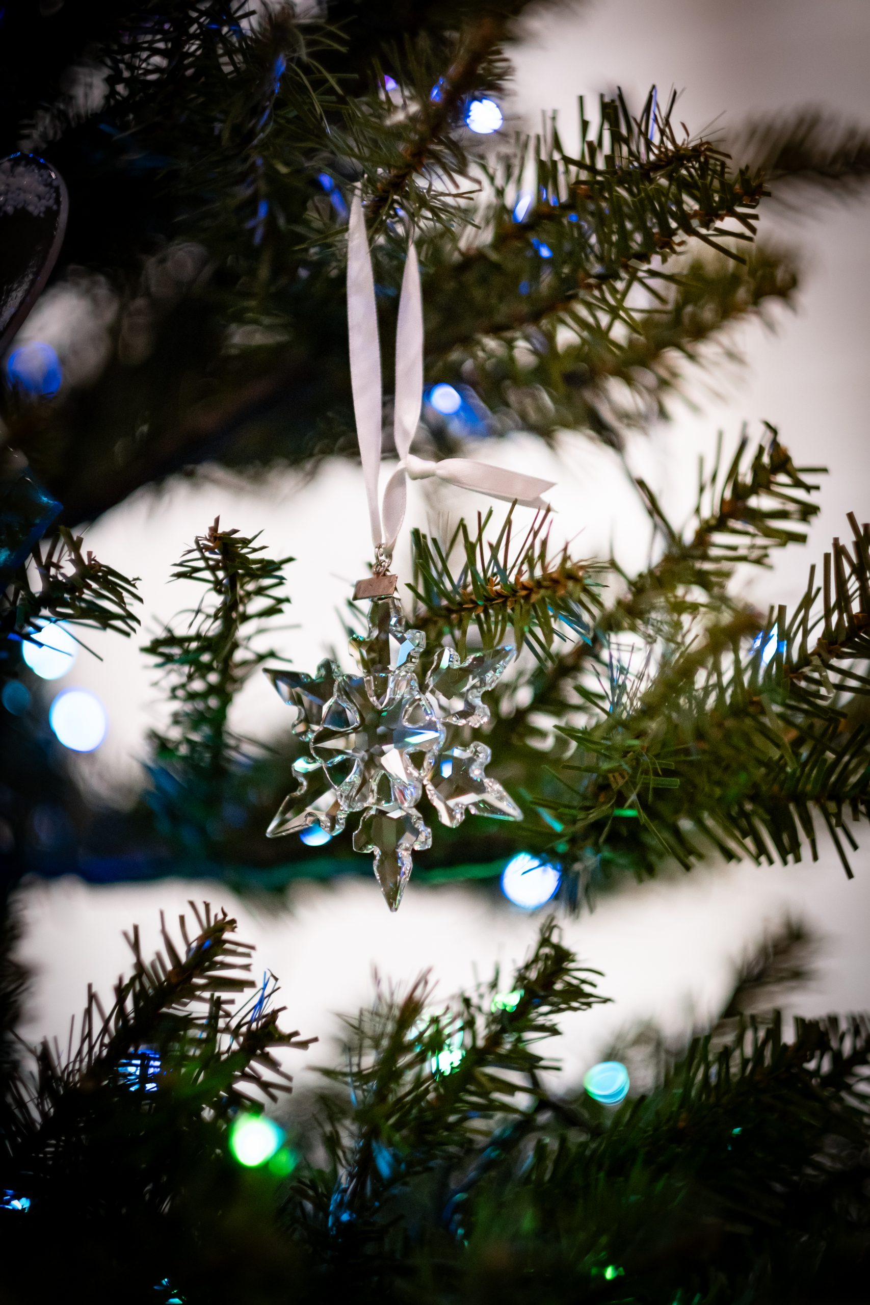 The Photog’s Holiday Flicks