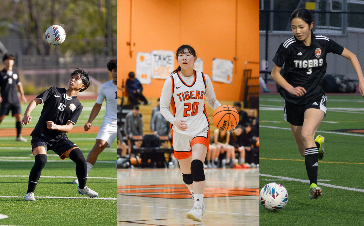Sports summary: February 8–15