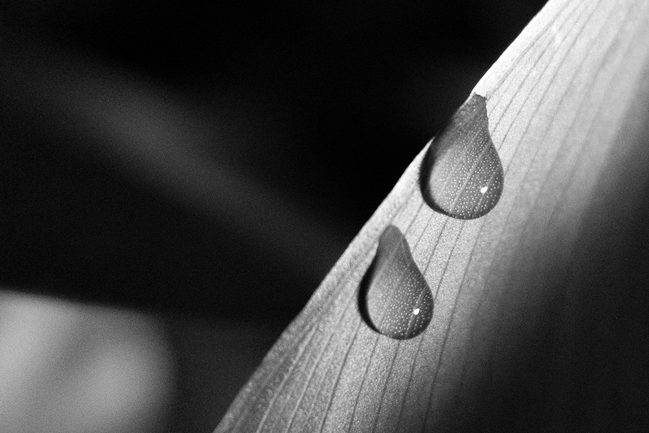 Photo of the month: February