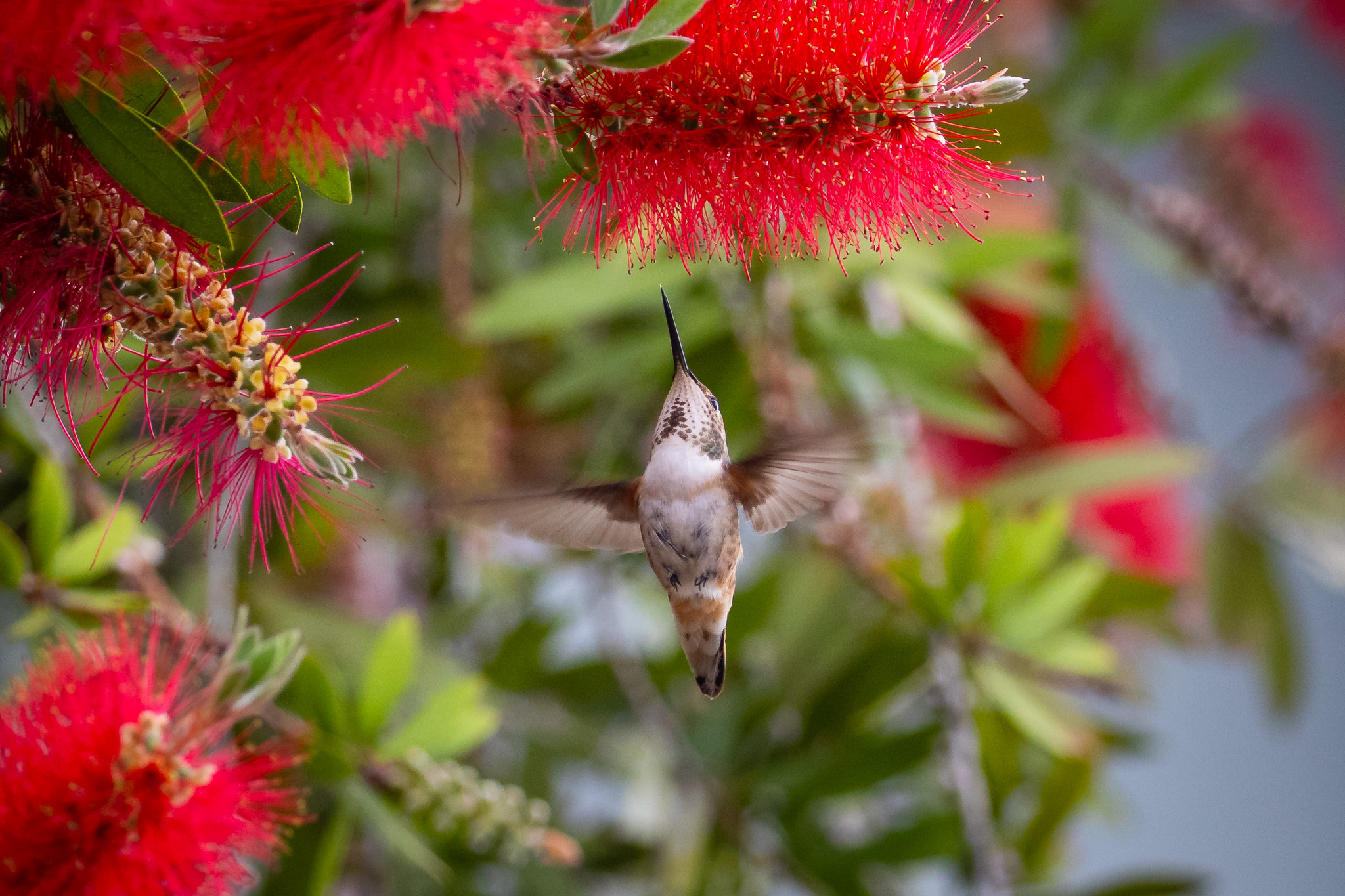 Photo of the month: May