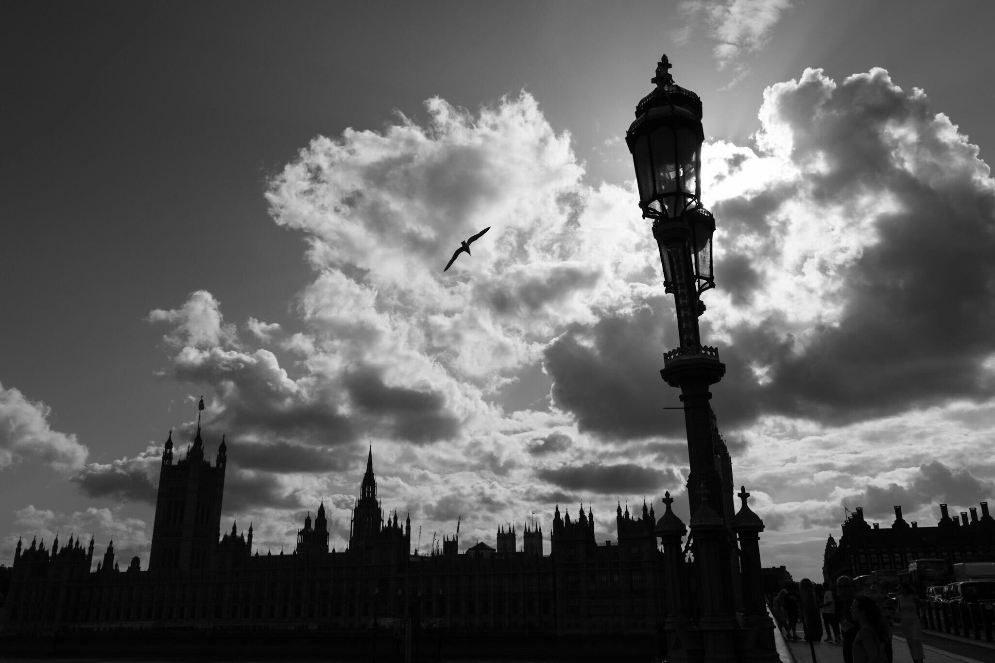 Photo of the month: July