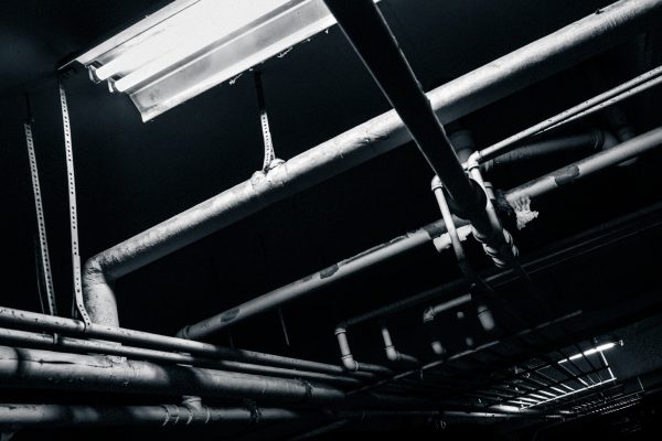 Photo of the month: August