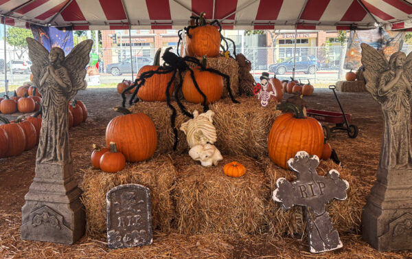 Local pumpkin patch returns for another Halloween season